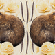 Image for article titled What is castoreum, and why is it in my food?